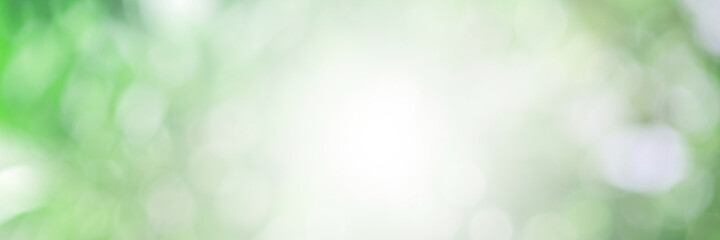 Green light leaves blurred and blur natural abstract. Effect sunlight  soft bright shiny style  bokeh circle yellow and orange blurry morning . For wallpaper backdrop and background.
