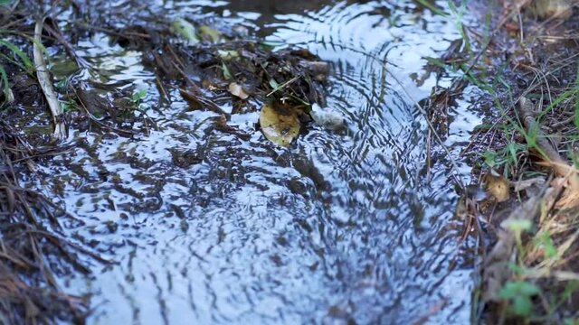 agua correr  naturaleza