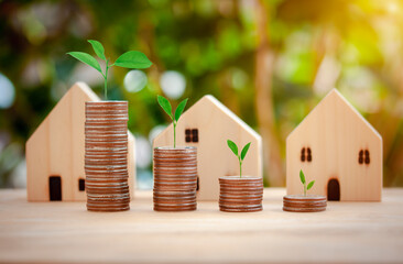 Plant on coins and houses model are step for growing growth to save money, Concept for finance investment business with bokeh background and morning sunlight.