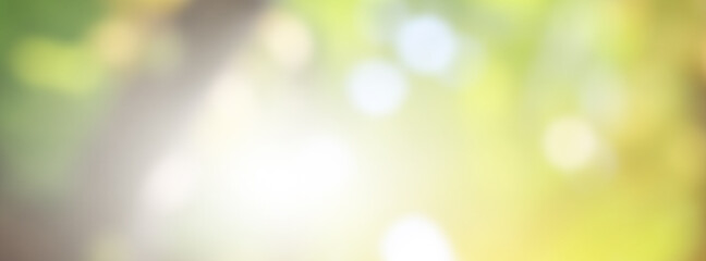 Fototapeta premium Green light leaves blurred and blur natural abstract. Effect sunlight soft bright shiny style bokeh circle yellow and orange blurry morning . For wallpaper backdrop and background. 