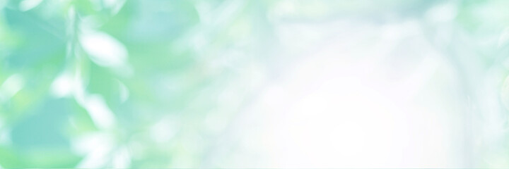 Green light leaves blurred and blur natural abstract. Effect sunlight  soft bright shiny style  bokeh circle yellow and orange blurry morning . For wallpaper backdrop and background.
