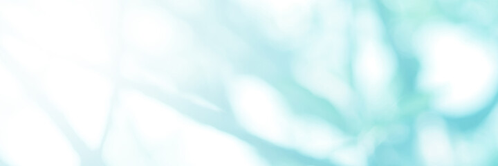 Green light leaves blurred and blur natural abstract. Effect sunlight  soft bright shiny style  bokeh circle yellow and orange blurry morning . For wallpaper backdrop and background.
