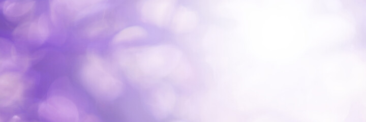 Purple and violet light  leaves blurred and blur natural abstract. Effect sunlight  soft bright shiny style  bokeh circle yellow and orange blurry morning . For wallpaper backdrop and background.
