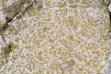 The stone surface is covered with green lichen and moss. Natural background