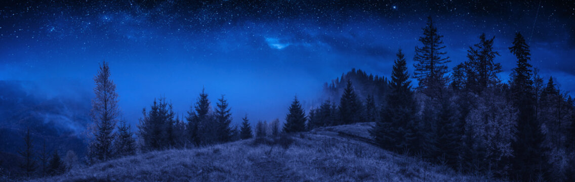 Meadow in a foggy carpathian mountains at night © Bashkatov
