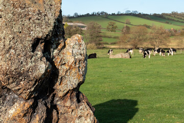 Neolithic stone circle at Stanton Drew, near Bristol in Somerset UK. These stones are part of the...