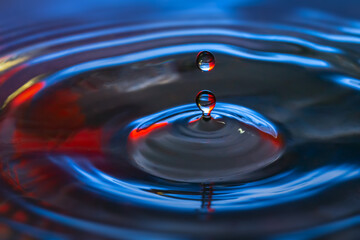 Water drop, close up shot of water drop