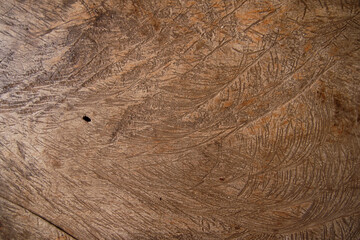 Brown Wood Texture. Bark pattern background.