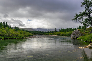 Fototapeta premium northern river flowing among the rocks in a forest area