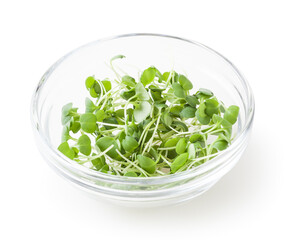 Heap of micro greens arugula sprouts in glass bowl isolated on white background with clipping path