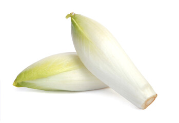 Endives blanches	