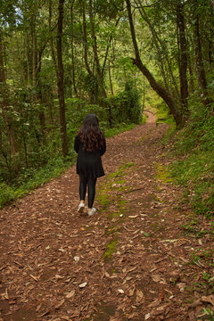 Mujer caminando por un camino de hojarasca en el bosque