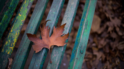 Old abandoned Park benches on an autumn day.