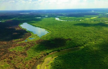 Fototapeta na wymiar Vista Aárea do Pantanal Matogrossense - Brasil.
