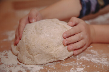 Woman sculpts homemade dumplings bear ears in the kitchen. Modeling dumplings closeup. Female hands sculpt dumplings.