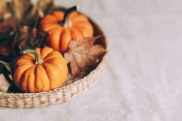 Autumn background with orange pumpkins and dry maple leaves.