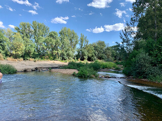 river in the woods