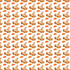 Creative background from forest mushrooms and leaves. Abstract background. Isolated raw mushroom on white background not seamless pattern