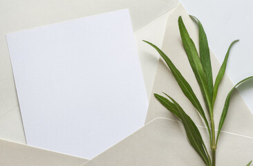 White paper note with Green branch natural classic in light grey envelope