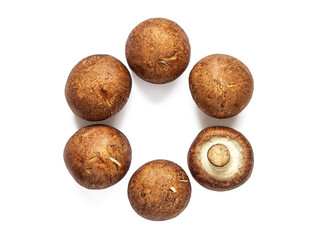 Fototapeta premium Several champignons are laid out in a circle on white