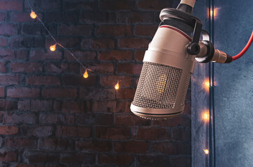 background with a professional microphone and light garland