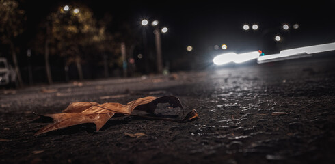 Photographs in a moody style, with low and dark tones. Photos taken in Valencia city (Spain), in different places and for different reasons. They convey melancholy, tranquility and calm.