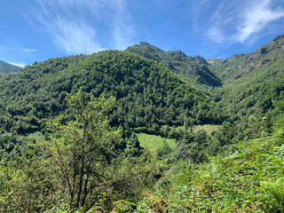 Obraz premium landscape with sky