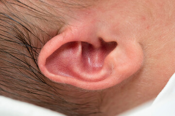 Close-up of a newborn's ear with black hair.