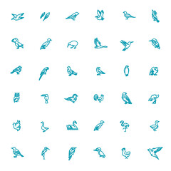 Set of different birds. Vector line icons