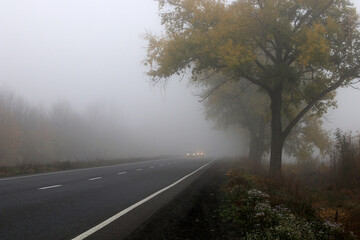 Heavy fog on the road. Danger from driving.