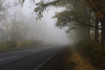 Fototapeta premium Heavy fog on the road. Danger from driving.