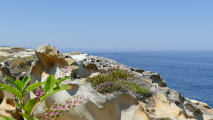 Sandstone with vegetation on the sea coast