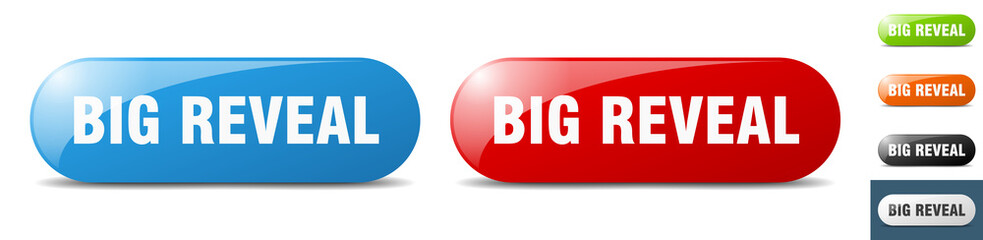 big reveal button. key. sign. push button set