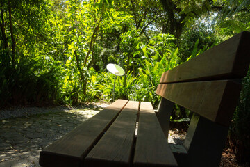 Silla de madera junto a un camino de piedra