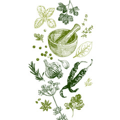Herbs and spices set, culinary design template © liliya shlapak