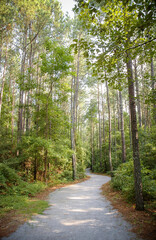 Fototapeta premium Goose Creek State Park