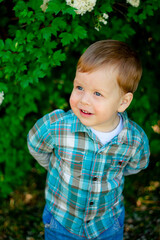 Blondin boy smiles. child claps his hands. Boy in a plaid shirt. Blond boy on a background of flowers