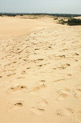 Jockey's Ridge State Park