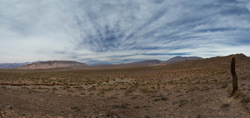Desolated landscape. Panorama view of the arid desert, sand, giant cactus Echinopsis atacamensis, shrubs, and mountains in the horizon under a beautiful blue sky with clouds.