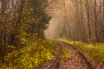 Old railway in autumn forest foggy morning. Blurred background
