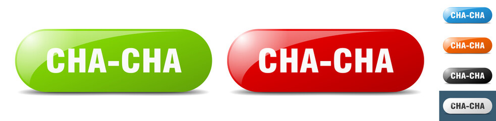 cha-cha button. key. sign. push button set