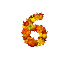 Colorful autumn leaves isolated on white background as number six.