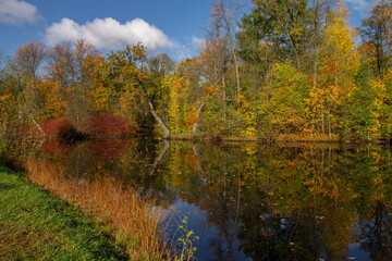 autumn landscape of colorful trees surrounding a forest pond