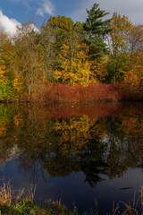 autumn landscape of colorful trees surrounding a forest pond