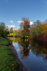 Fototapeta na wymiar autumn landscape of colorful trees surrounding a forest pond