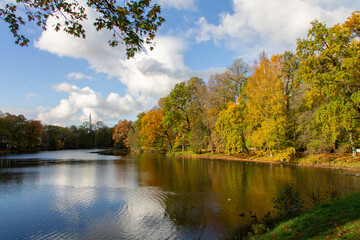 autumn landscape multicolored forest around the reservoir