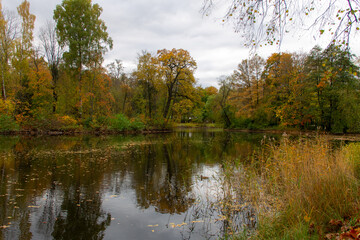 autumn landscape of colorful trees surrounding a forest pond