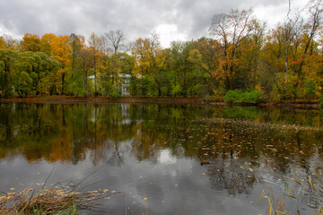 autumn landscape of colorful trees surrounding a forest pond