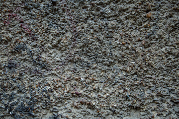 texture of a stone