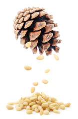 Pine nuts falling from a pine cone on a heap on a white background. Isolated